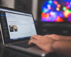 wordpress